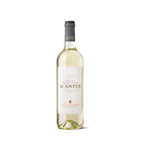 VINO BLANCO ACANTUS AIREN VERDEJO
