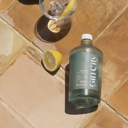 [5GCVN] GINEBRA PREMIUM GINCITY VALENCIA - 70cl.